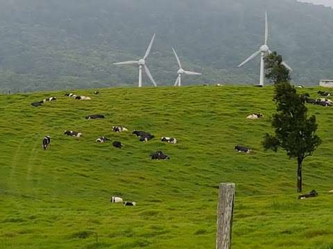 Photo: Windy Hill Wind Farm Viewing Area